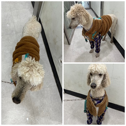 종료(반환) 스탠다…